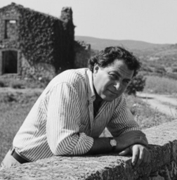 Fernández López, Raúl