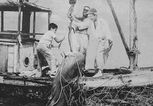 David Carpio, Julio Aldama y Alfredo Varela Jr. en Tiburoneros (Dir. Luis Alcoriza, 1962)