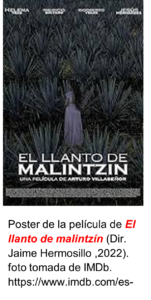 Cartel 2 Villaseñor Arturo