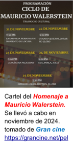 Cartel de película de Mauricio Walerstein