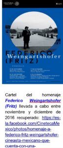 Cartel de película de Federico Weingartshofer